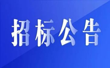 招标股的工作总结6篇