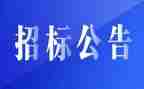 招标股的工作总结6篇