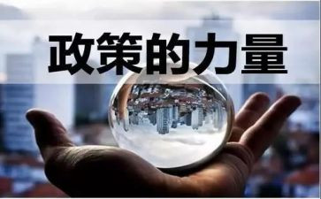 政策法规心得体会7篇