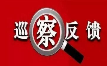 检查的问题整改报告7篇