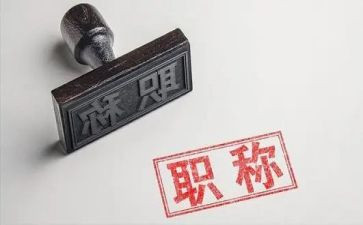 正高级教师职称工作总结8篇