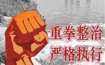 专项整治月的工作总结精选5篇