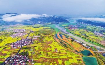2024年县乡村振兴工作总结6篇