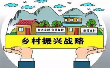 村乡村振兴工作总结通用6篇
