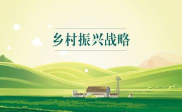 2024年县乡村振兴工作总结参考8篇