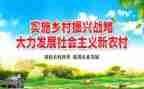 村乡村振兴工作总结优秀7篇