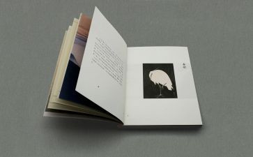 哲学读书心得6篇