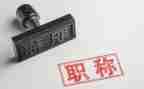 二级职称评定工作总结7篇