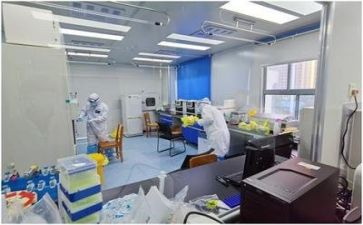 质量安全总结报告8篇