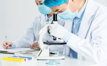 质量工作总结及计划8篇
