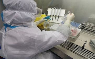 质量管理室工作总结最新6篇