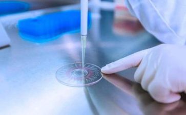 质量科年度工作计划通用7篇