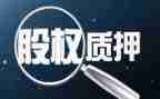 股权质押借款合同7篇