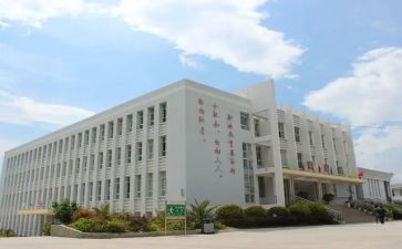 职中学生学期总结7篇