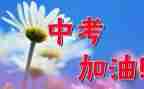 中考的我作文800字优秀5篇