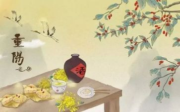 重阳节演讲稿范文通用8篇