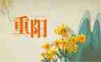 社区重阳活动方案通用8篇