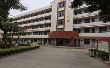 中专学生自我鉴定表300字5篇