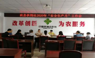 专合社申请书5篇