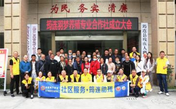 专合社申请书精选8篇