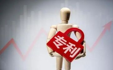 查专利申请书5篇