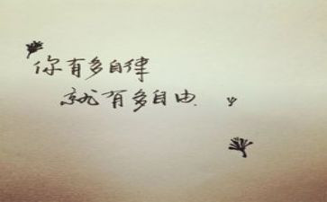 自律会工作报告6篇
