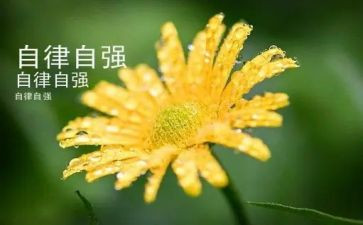 当自强演讲稿600字7篇