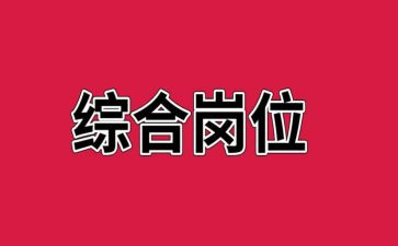 综合岗的工作计划优秀8篇