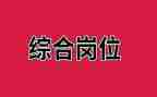 综合岗的工作计划优秀8篇