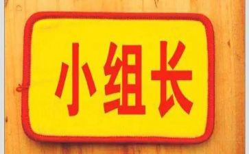 组长述职报告优质5篇