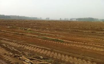 房屋租赁合同范本租房合同6篇