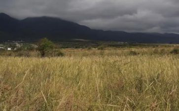 临时房屋租赁合同5篇