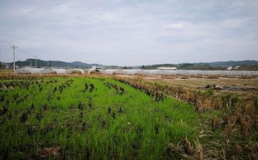 临时房屋租赁合同优秀6篇